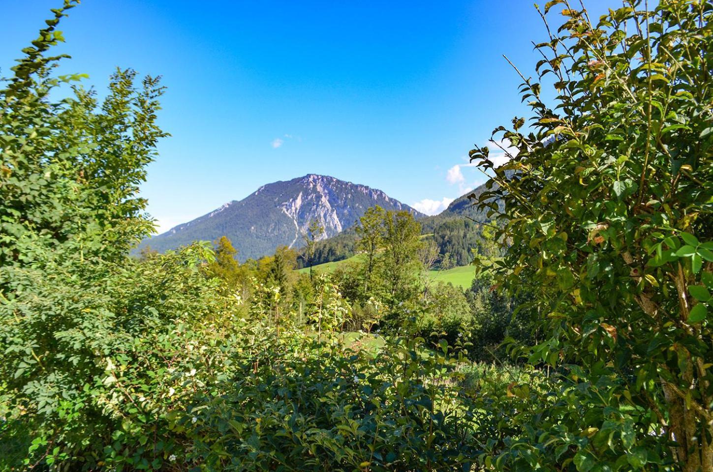 Almbauernhof Apartment Ruhpolding Exterior photo